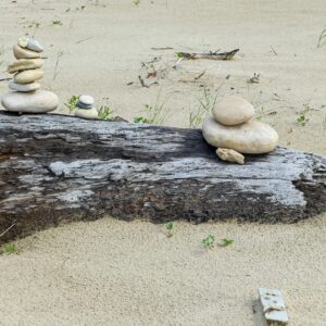 A pile of rocks sitting on top of a wooden log
