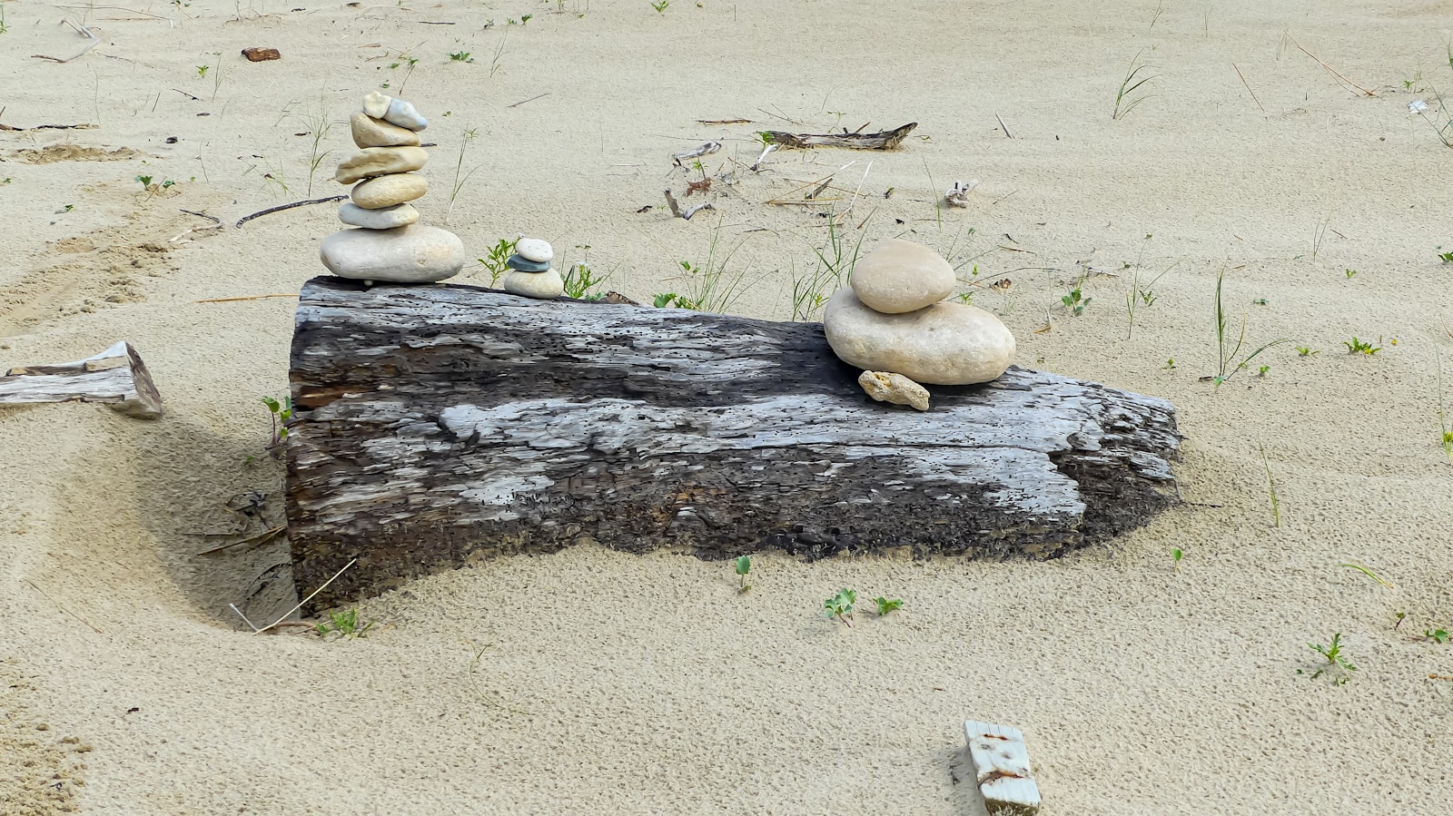 A pile of rocks sitting on top of a wooden log